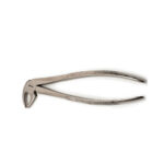 Dental extraction forceps